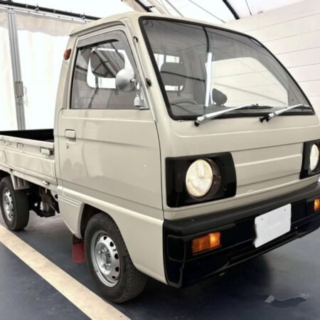 1989 Suzuki Carry Truck (SZCT113900R0808)