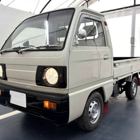 1989 Suzuki Carry Truck (SZCT113900R0808)